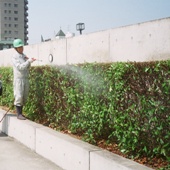 薬剤散布